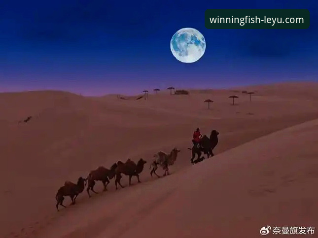 沙漠网球盛宴前的意外插曲：球员滞留风波详解