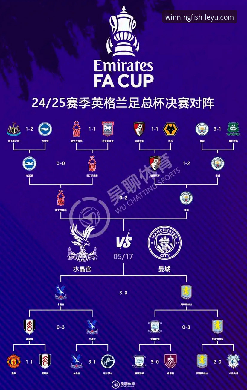乐鱼体育平台下载 足总杯战术复盘:狼队的坚韧防守 vs 利物浦的闪电攻势,谁主导了比赛?
